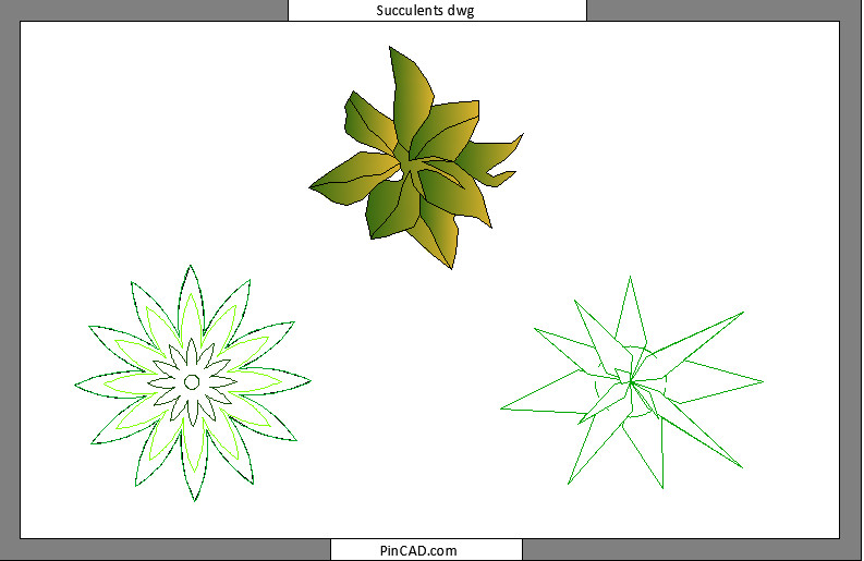 succulents dwg