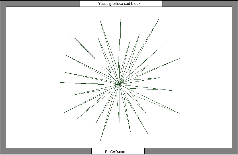 yucca gloriosa cad block